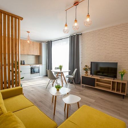 Art Apartment Târgu-Mureş Екстериор снимка