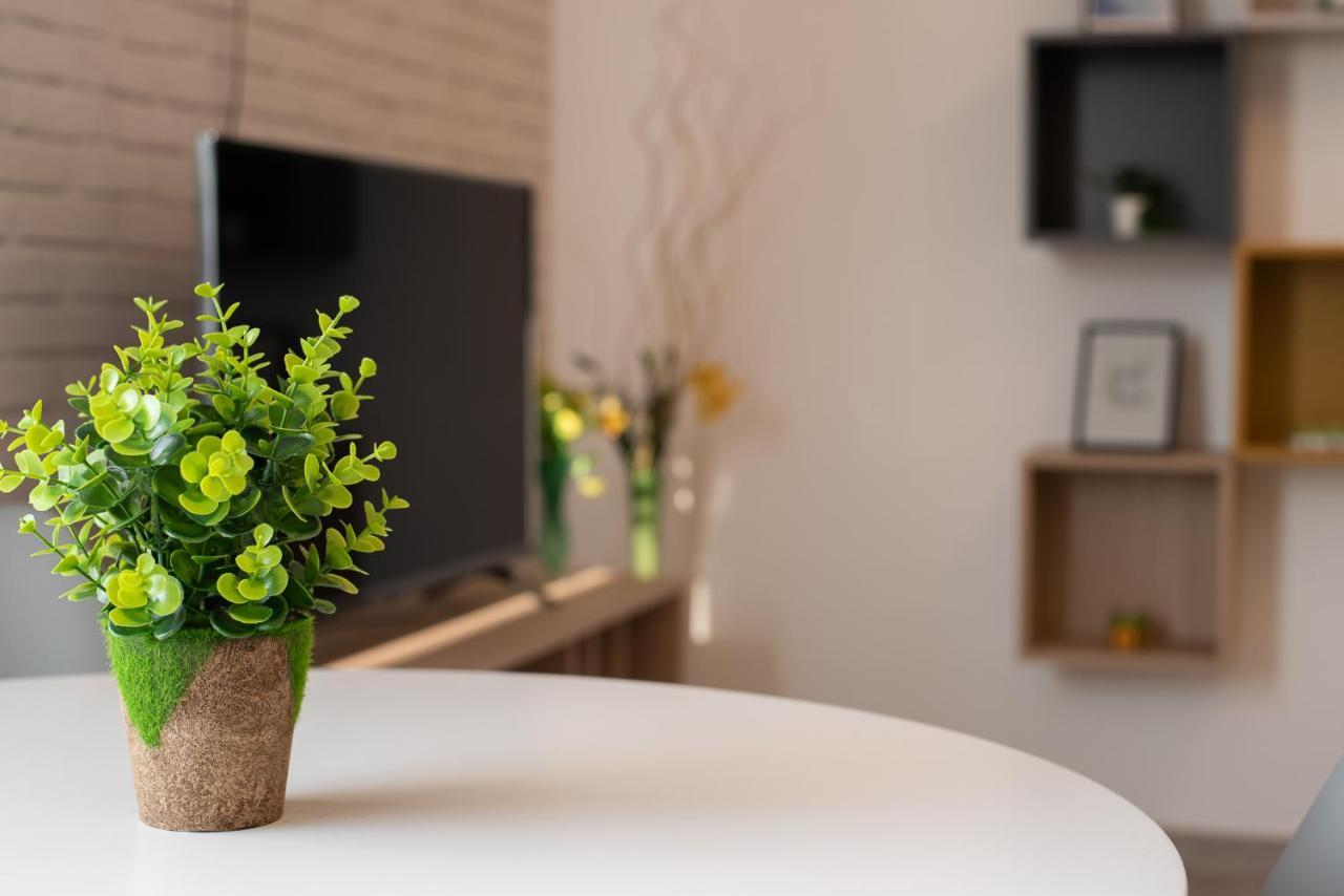 Art Apartment Târgu-Mureş Екстериор снимка